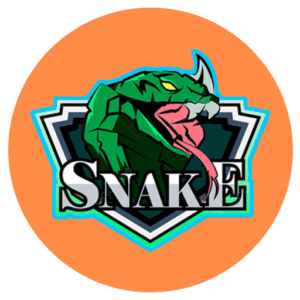 snake game